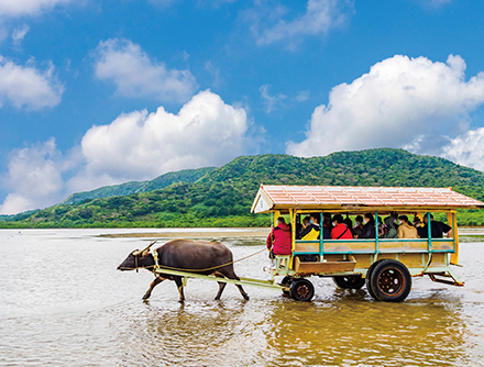 沖縄のおすすめ観光情報