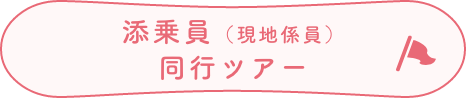 添乗員（現地係員）同行ツアー