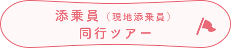添乗員（現地添乗員）同行ツアー