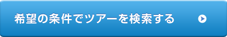 希望の条件でツアーを検索する