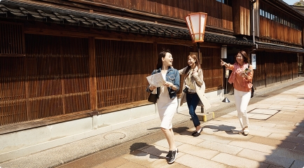 トラピックスとは