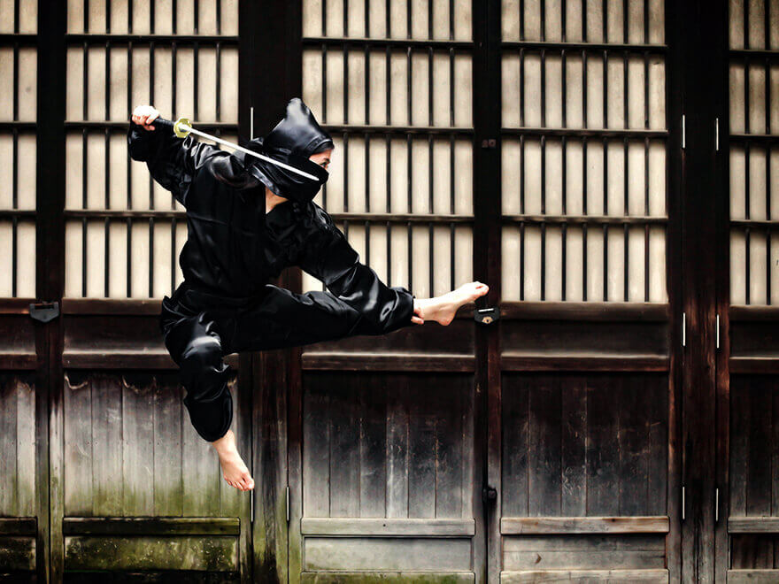 Ninja Experience