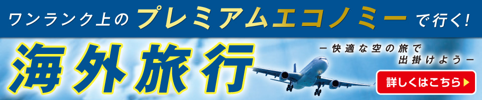 プレエコ