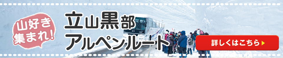 雪の大谷ツアー